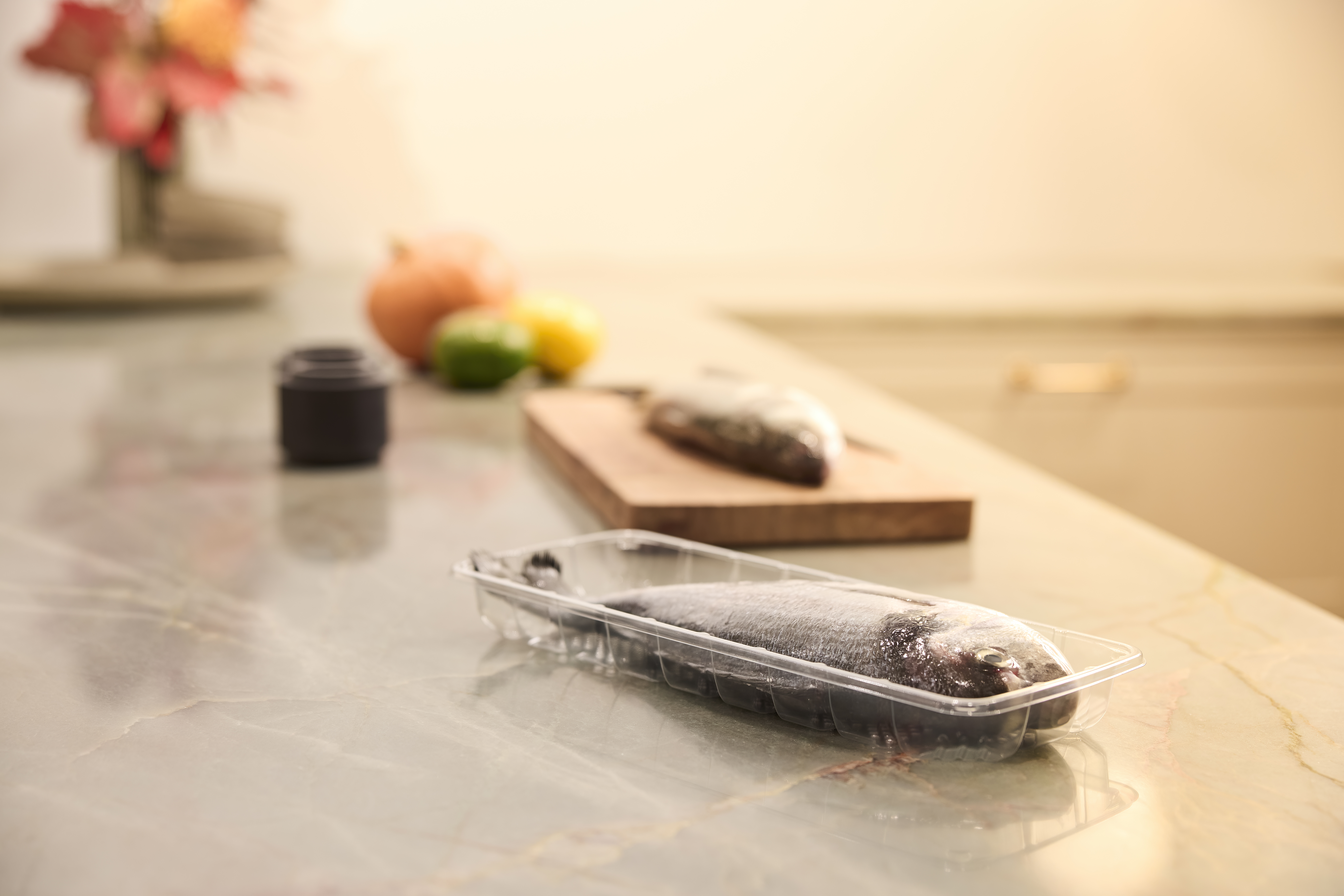 Wrapet_Transparent_Fish_Kitchen (4)