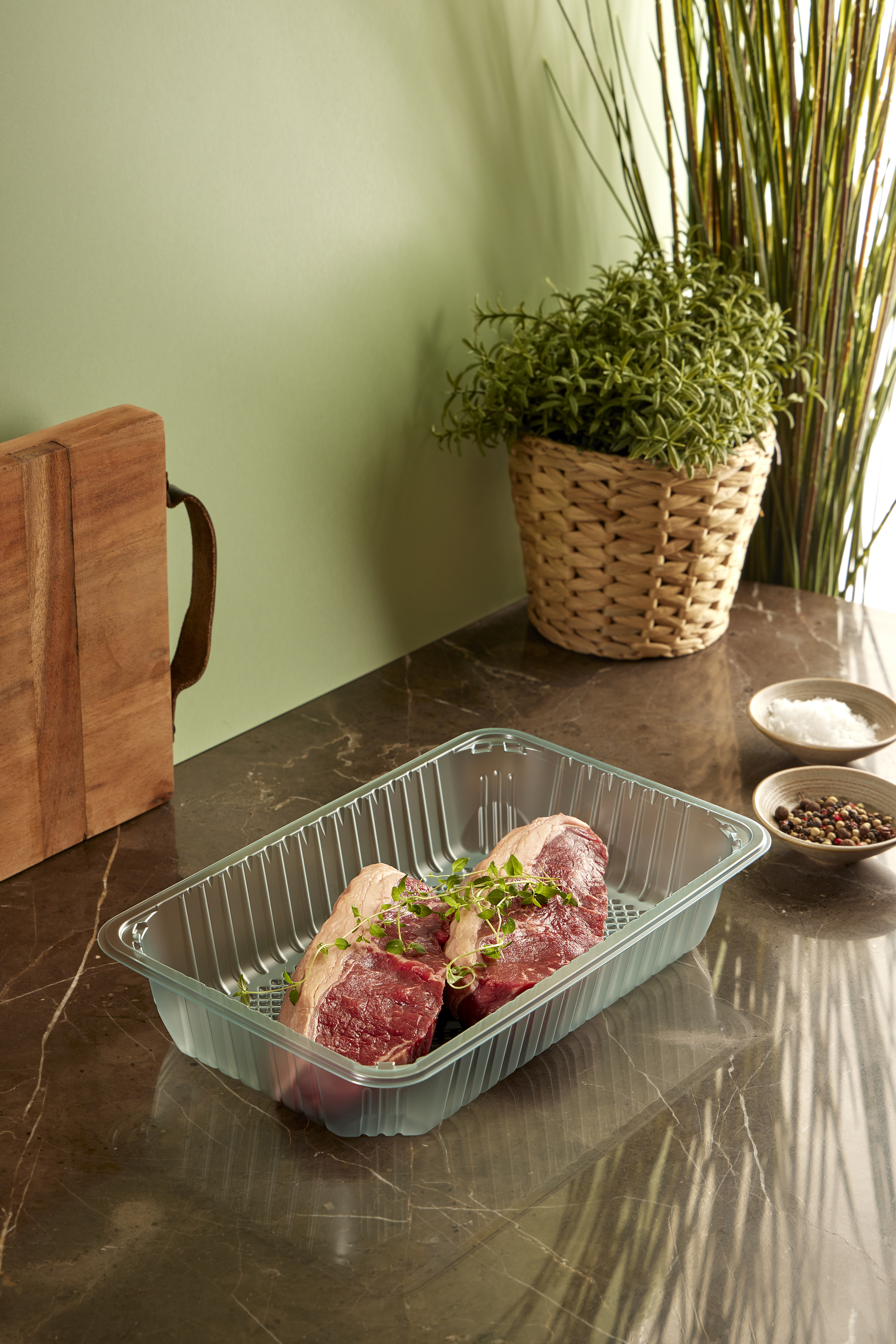 APET_Evolve_Steak_Studio (1)