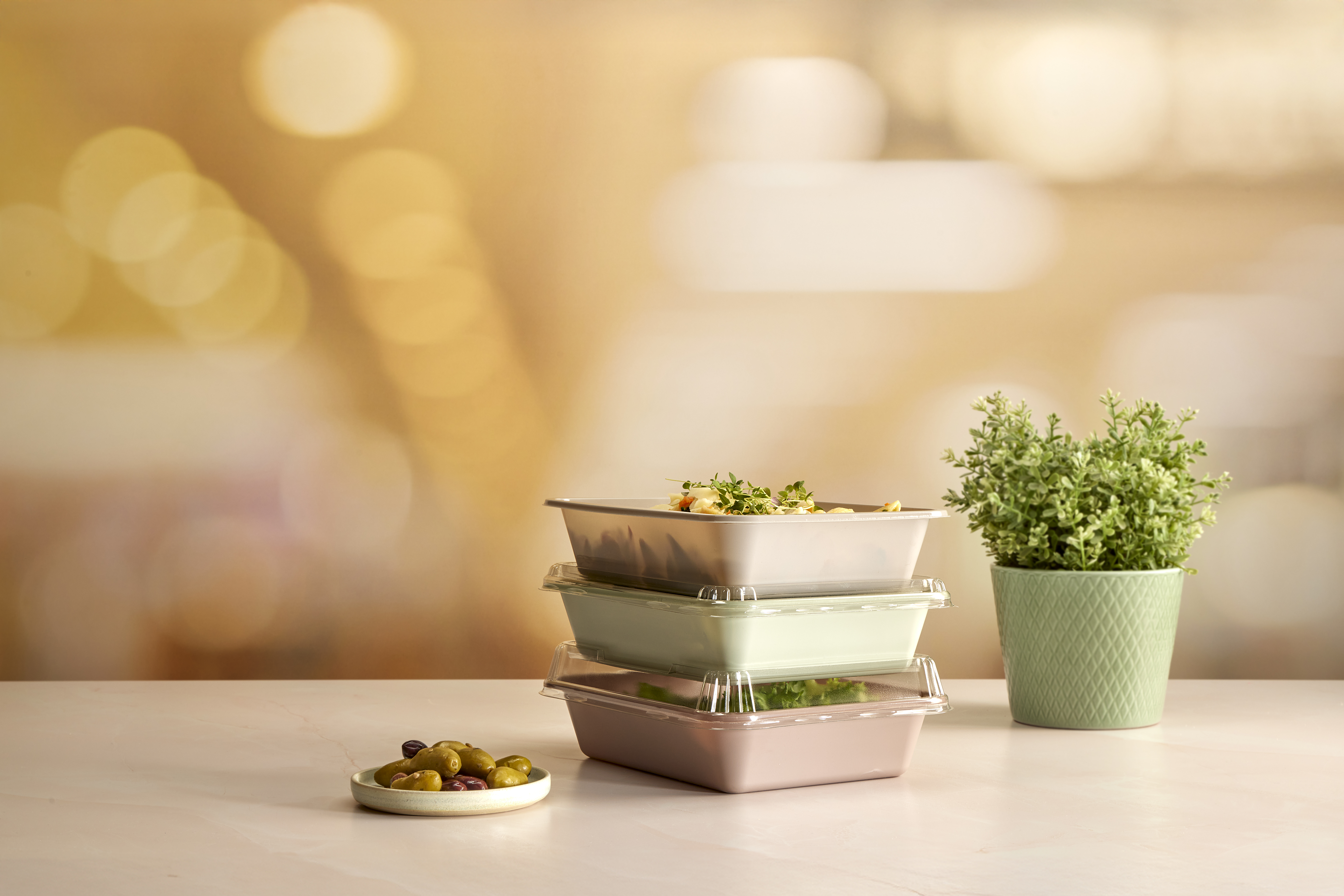 CPET Tray and APET lids_Evolve_Salad_Studio (2)