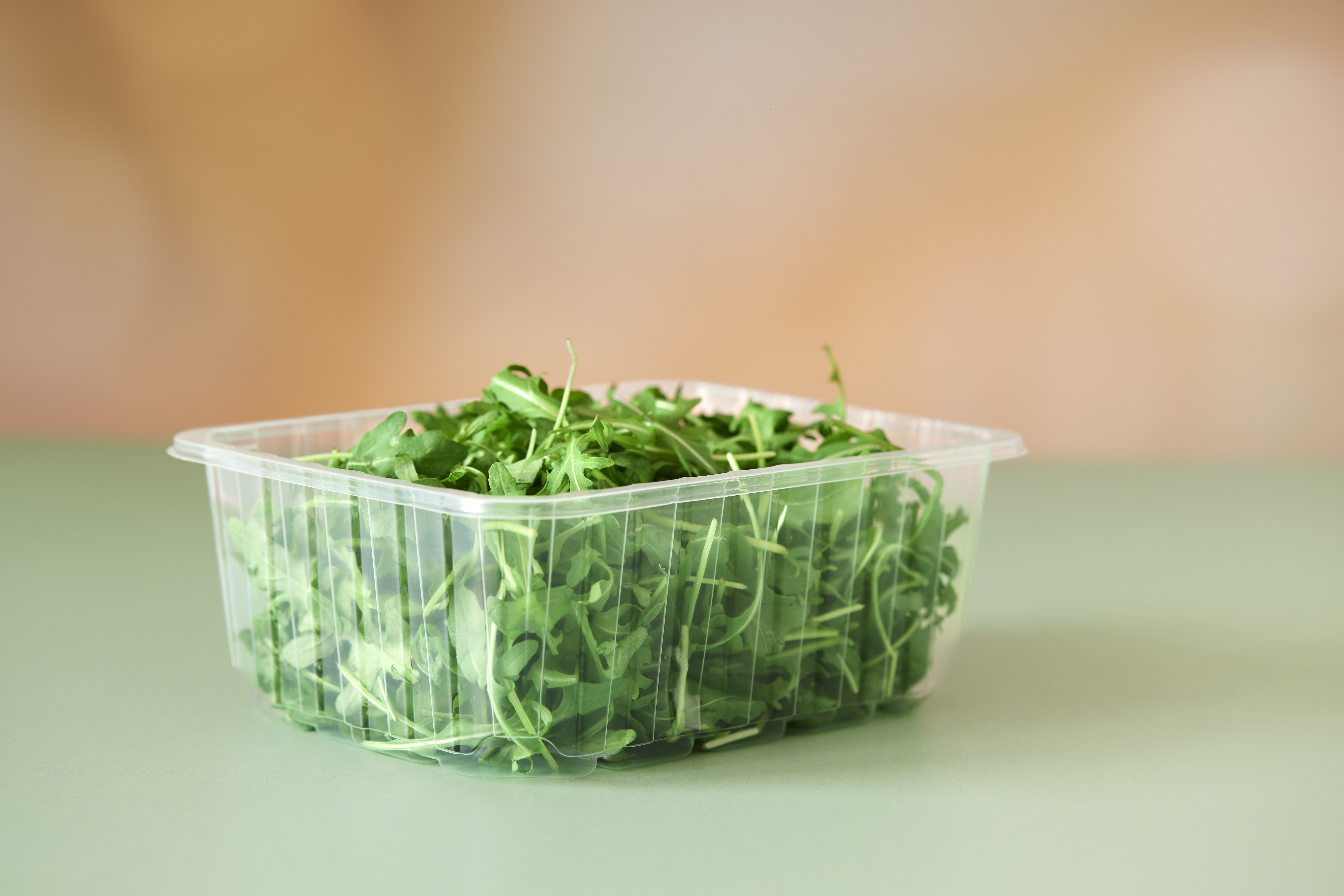 PP_Transparent_Salad_Studio