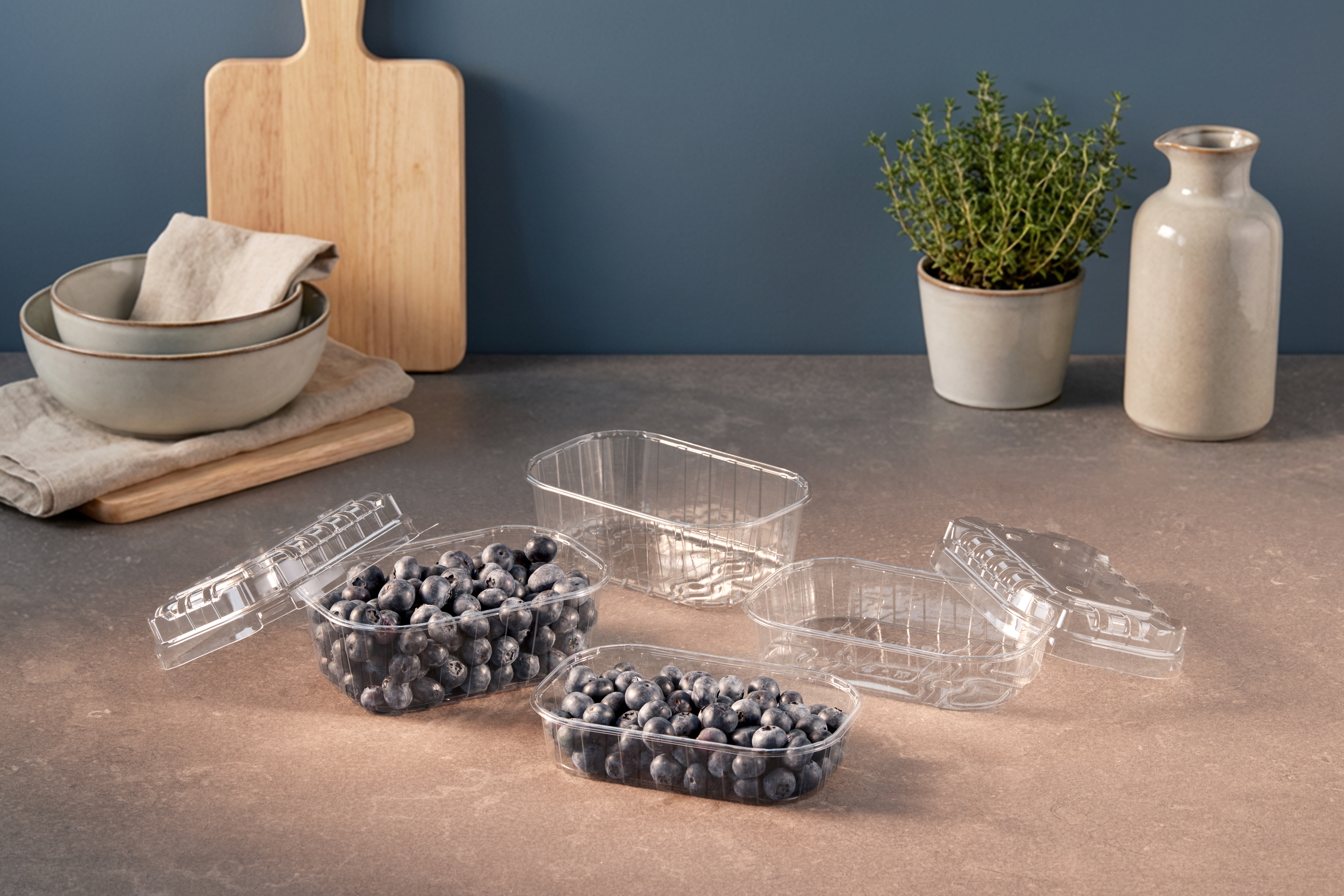 APET_Transparent_Blueberry_Fresh_ fruit(9)