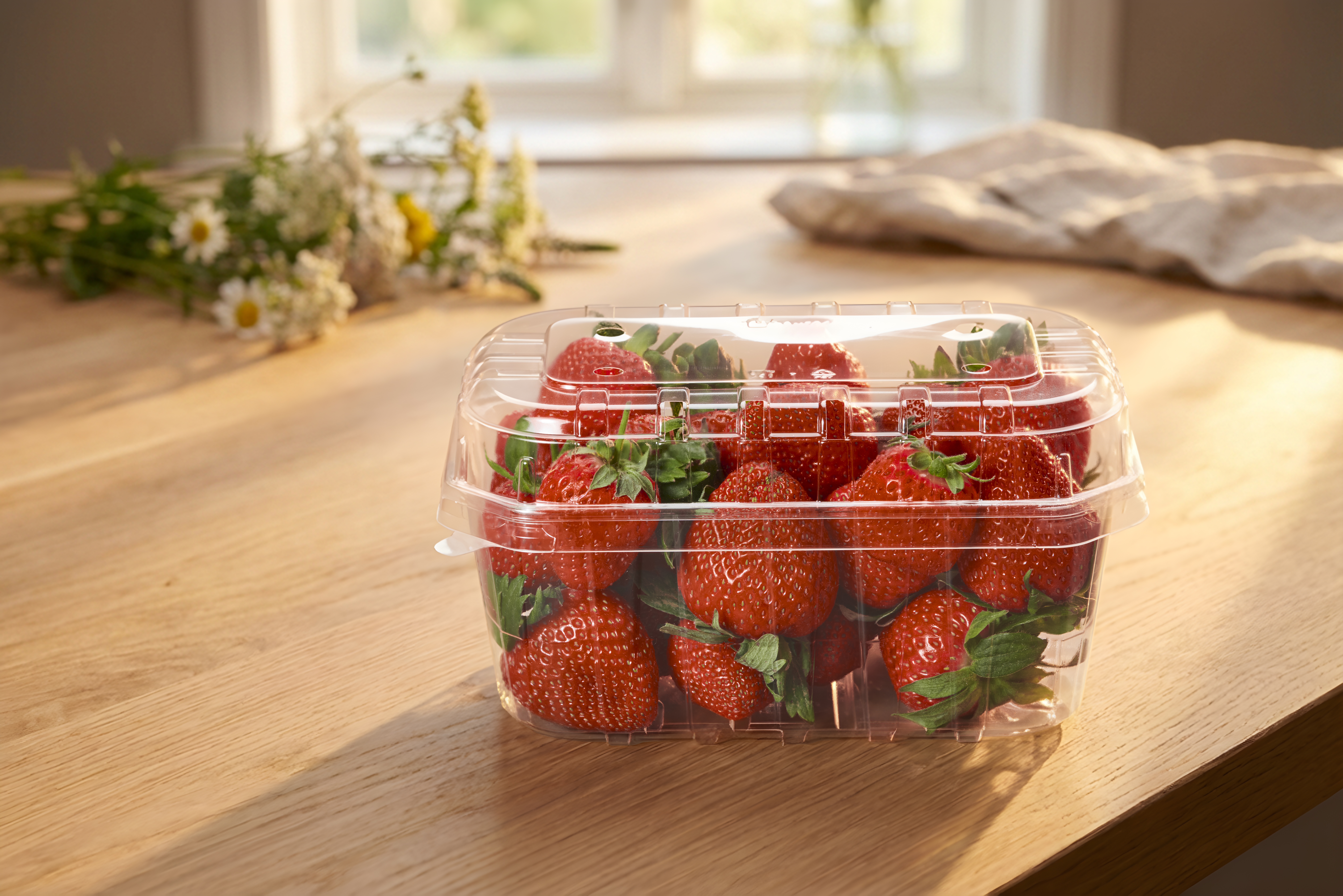 APET_Transparent_Strawberry_Fresh_fruit(4)